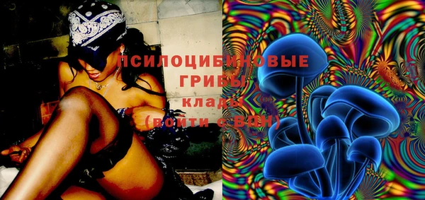 хмурый Абинск