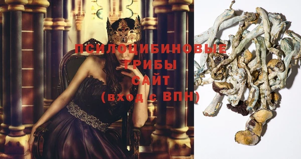 кокс Алексин