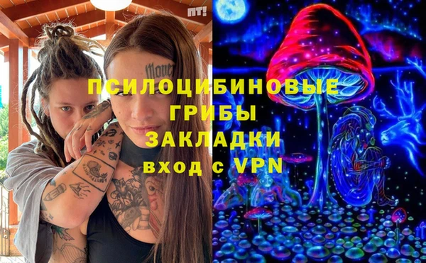 хмурый Абинск
