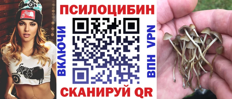 Псилоцибиновые грибы мицелий  купить наркотики цена  Тихвин 