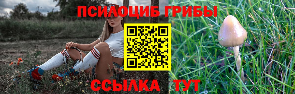 Галлюциногенные грибы прущие грибы  Псилоцибиновые грибы Cubensis  где купить наркоту  Вход с VPN  Тихвин 